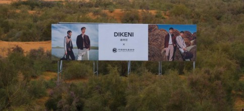六年治沙，十二年织「容」：DIKENI迪柯尼的共生循环